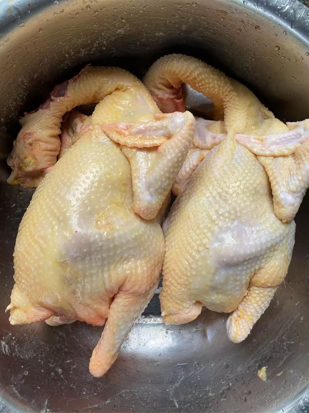 （农村好货）深山散养正宗黄油老母鸡新鲜现杀冷链发货