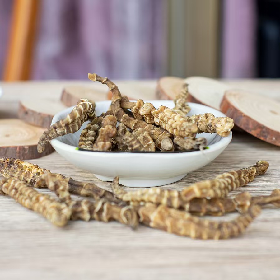    地参虫草参干货煲汤干货 ZM