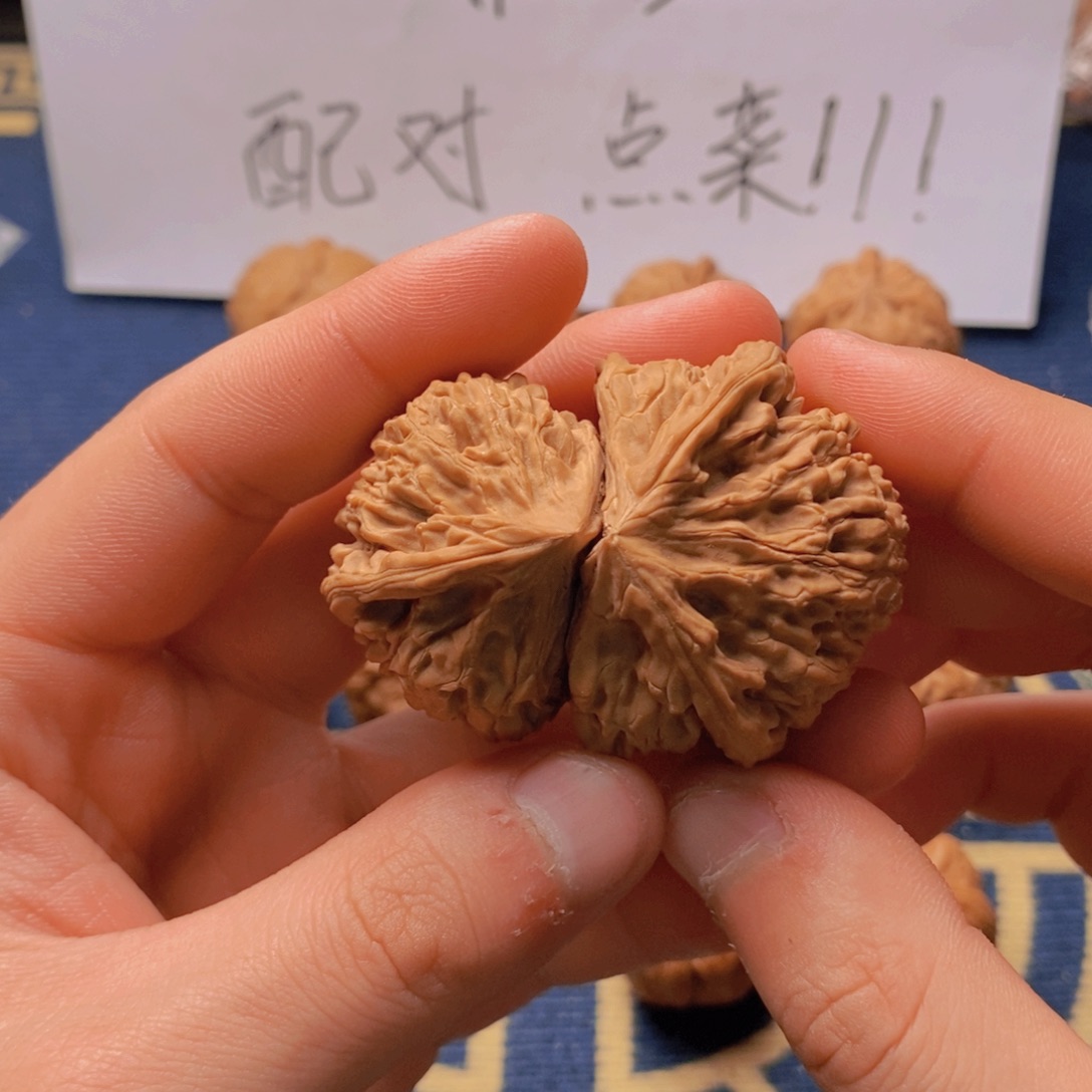 文玩核桃把件文玩核桃55文山连体单只（全品白茬）
