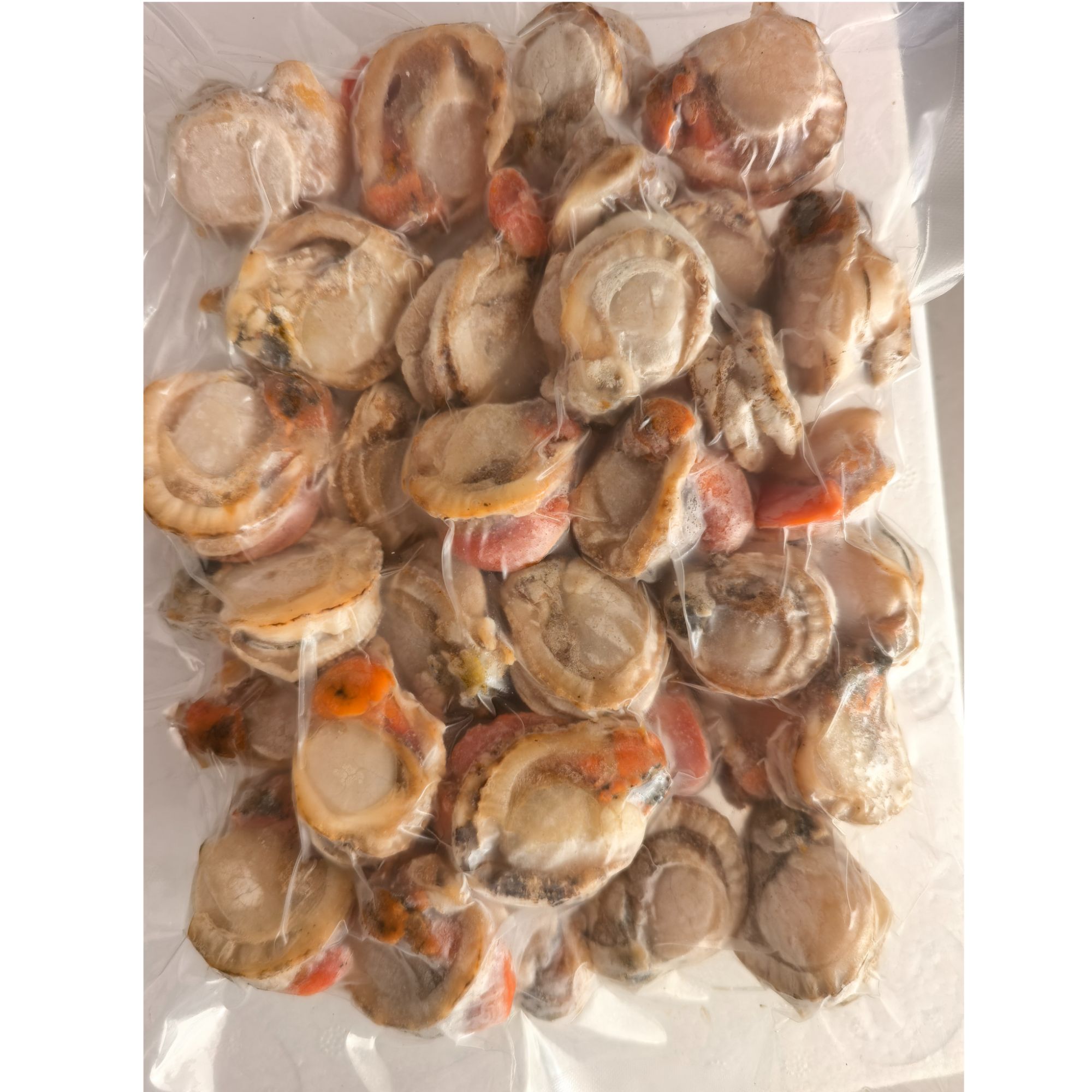 大连岛里无沙无冰衣大扇贝肉共发4斤运 真空漏气不在售后范围