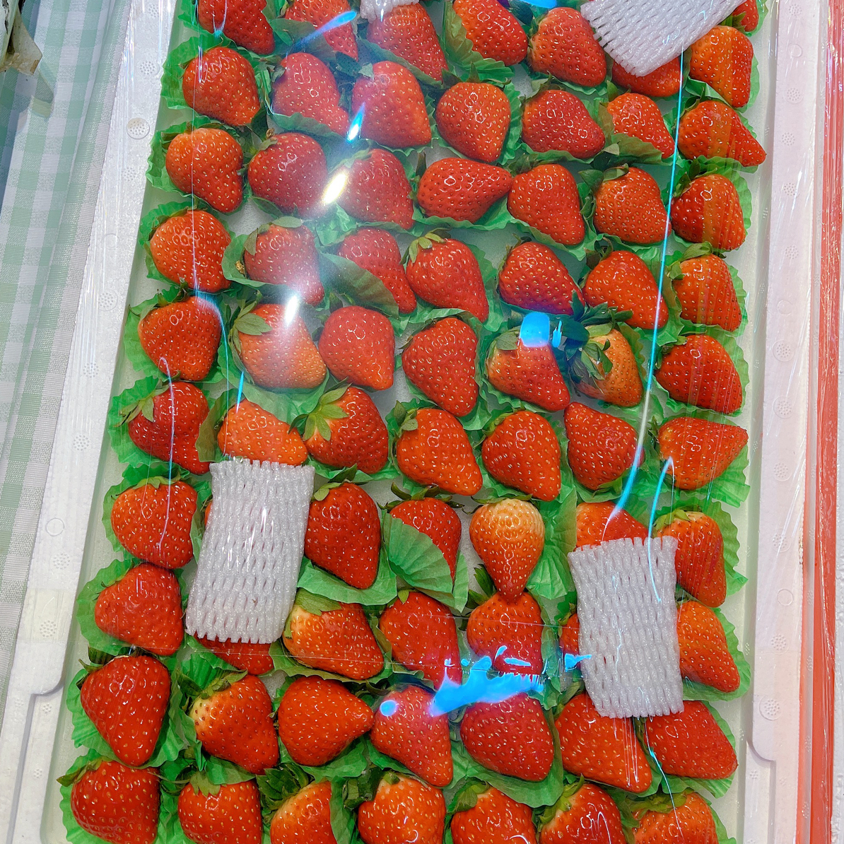 大板7排久久草莓55一板毛重2.8斤左右安徽省