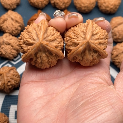 橄榄核手串/手链永**惜文山三棱