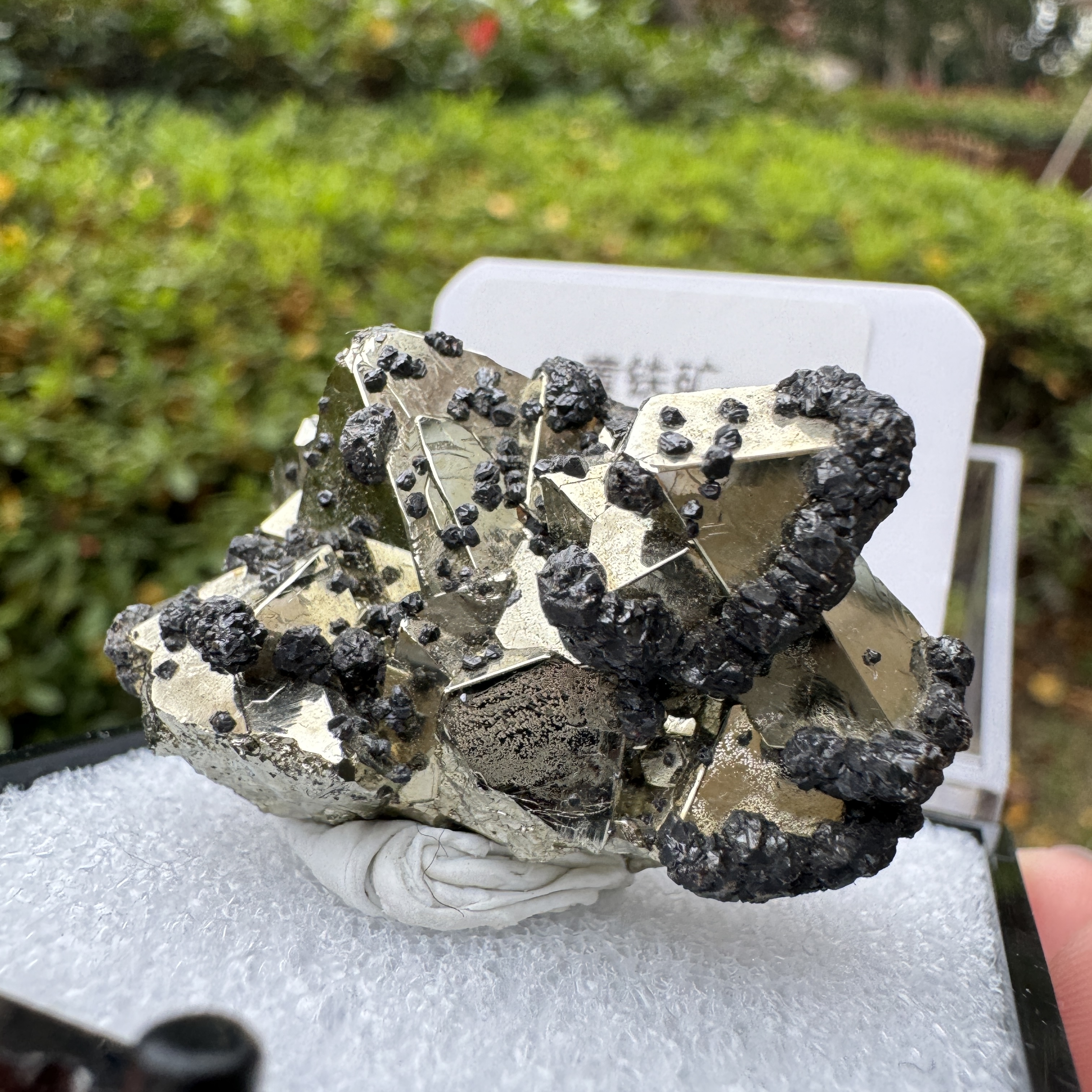 原石摆件 标本 黄铁矿