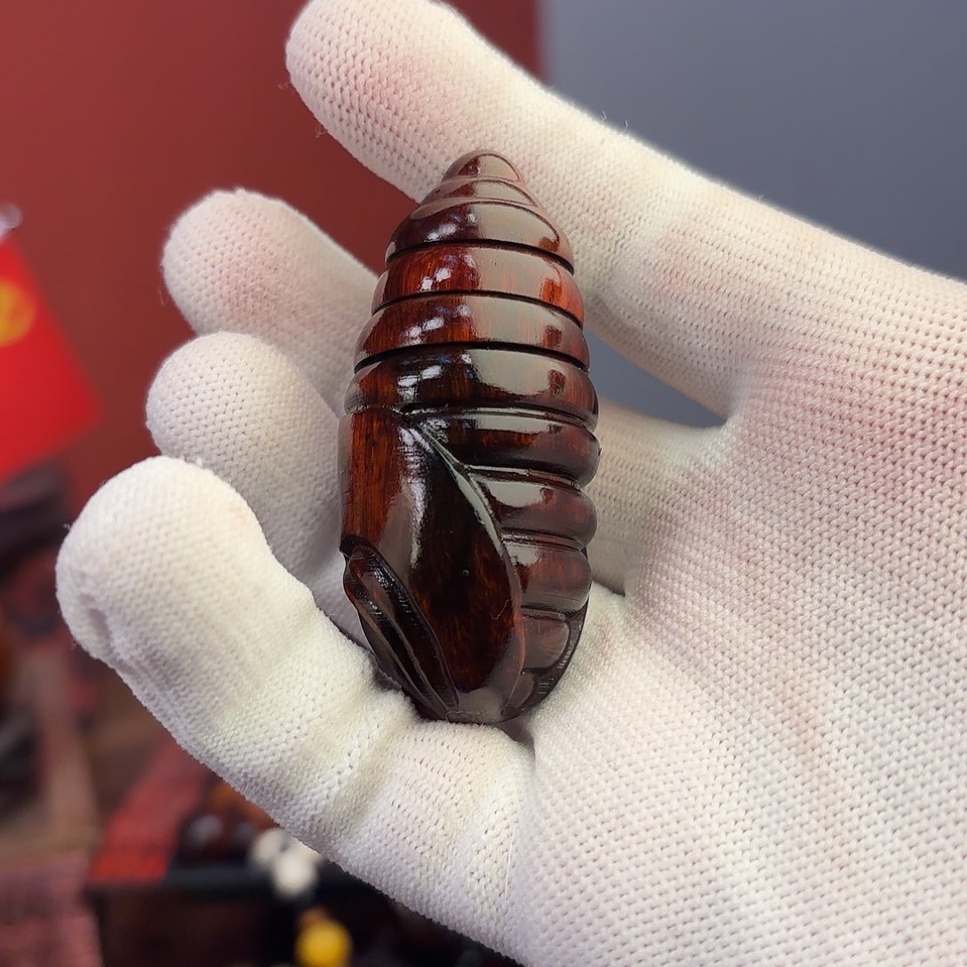 檀香紫檀（小叶紫檀）蛹