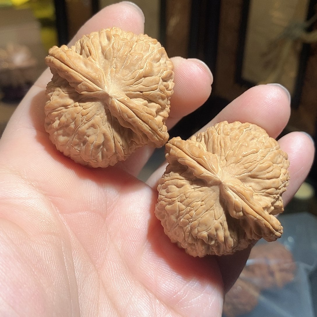 文玩核桃把件44白狮子全品