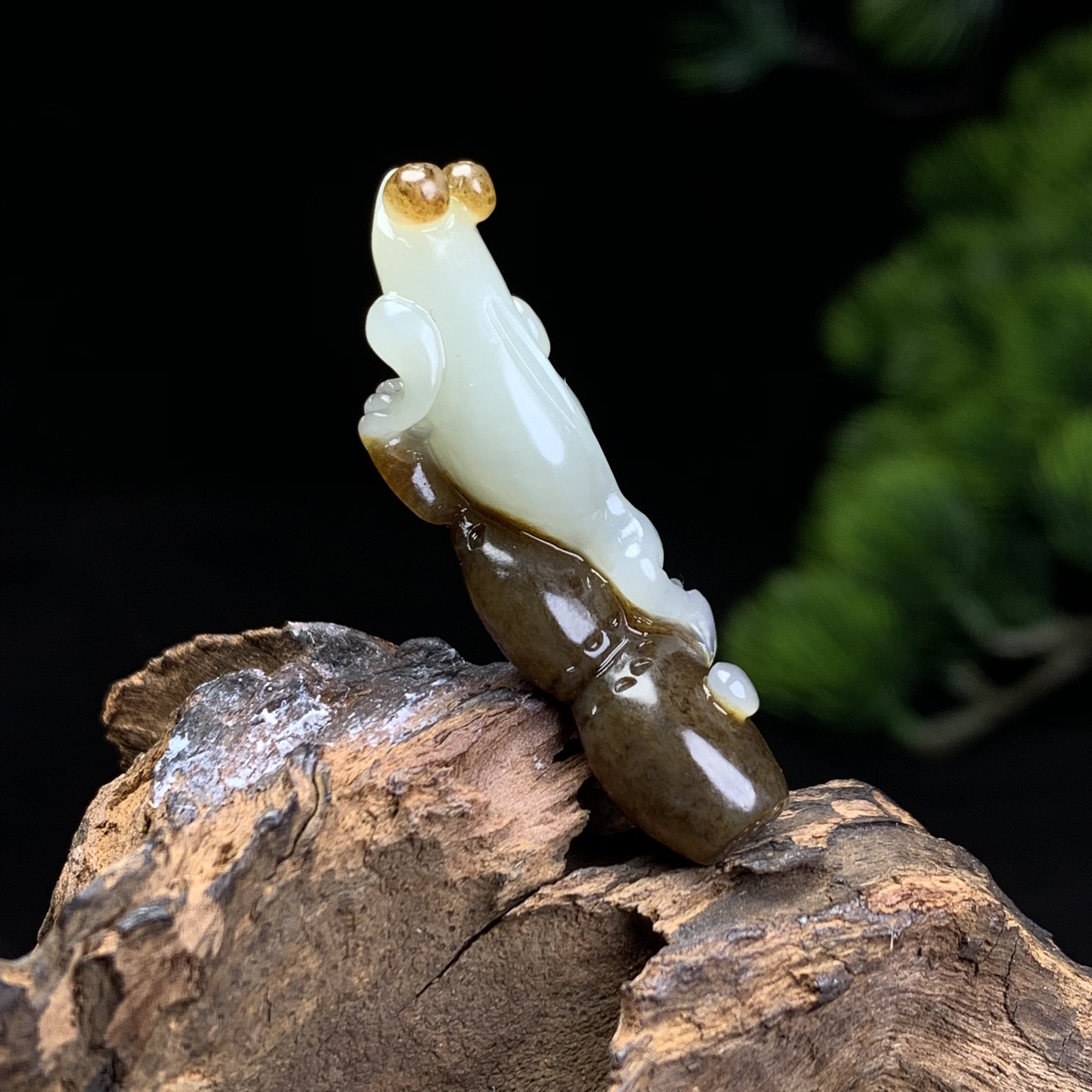 天然新疆和田玉糖玉俏色巧雕金蟾吊坠尺寸45×11×15重量8克