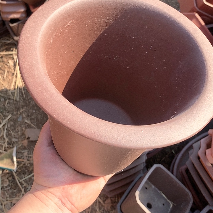 紫砂我要不明天要好好工作