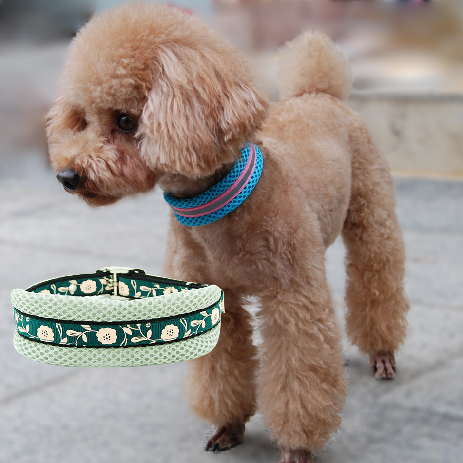 宠物项圈网布软垫脖圈泰迪比熊幼犬中小型犬用
