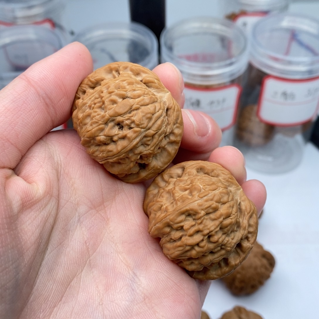 桃核把件核桃品种，球白，尺寸37mm，两只