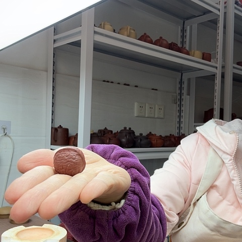 朱泥核桃茶宠茶宠