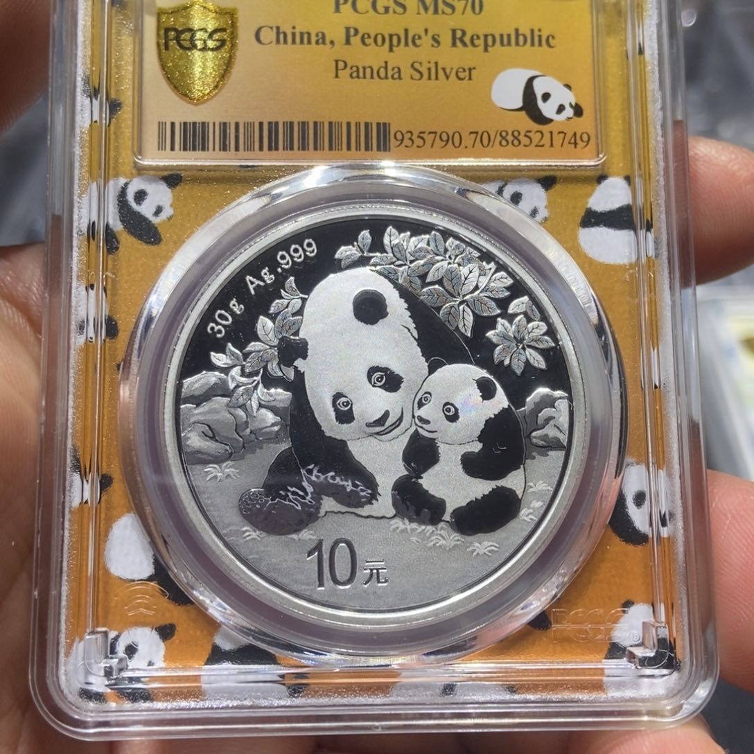 银银猫/国福泉信/21749