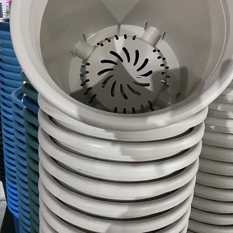 树脂四季6号微瑕灰白无托7个