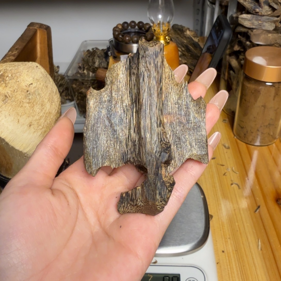 沉香蓝宝石虫漏26克