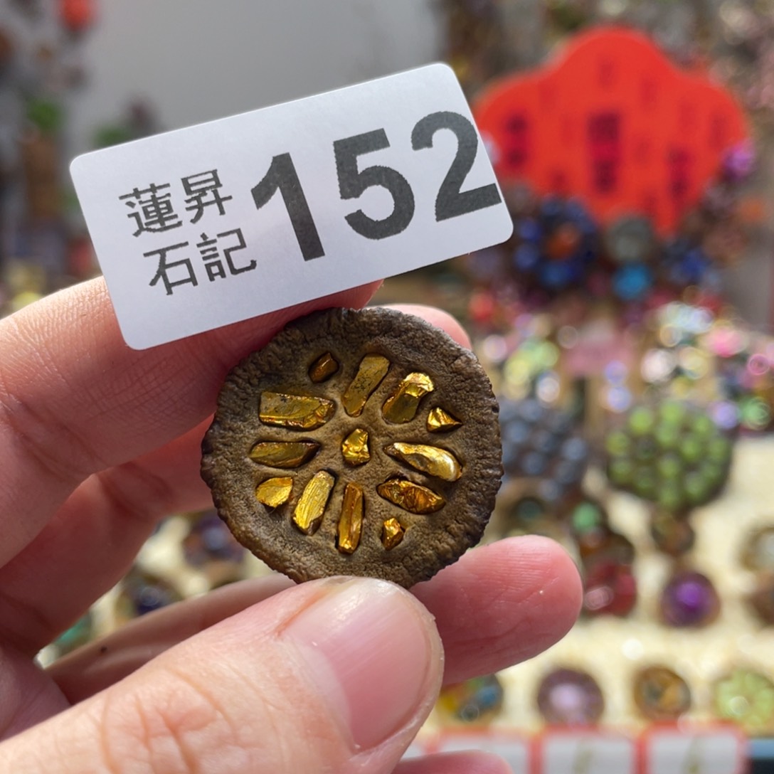 核桃木/黑胡桃（胡桃木）ꫛ*ꪝ152