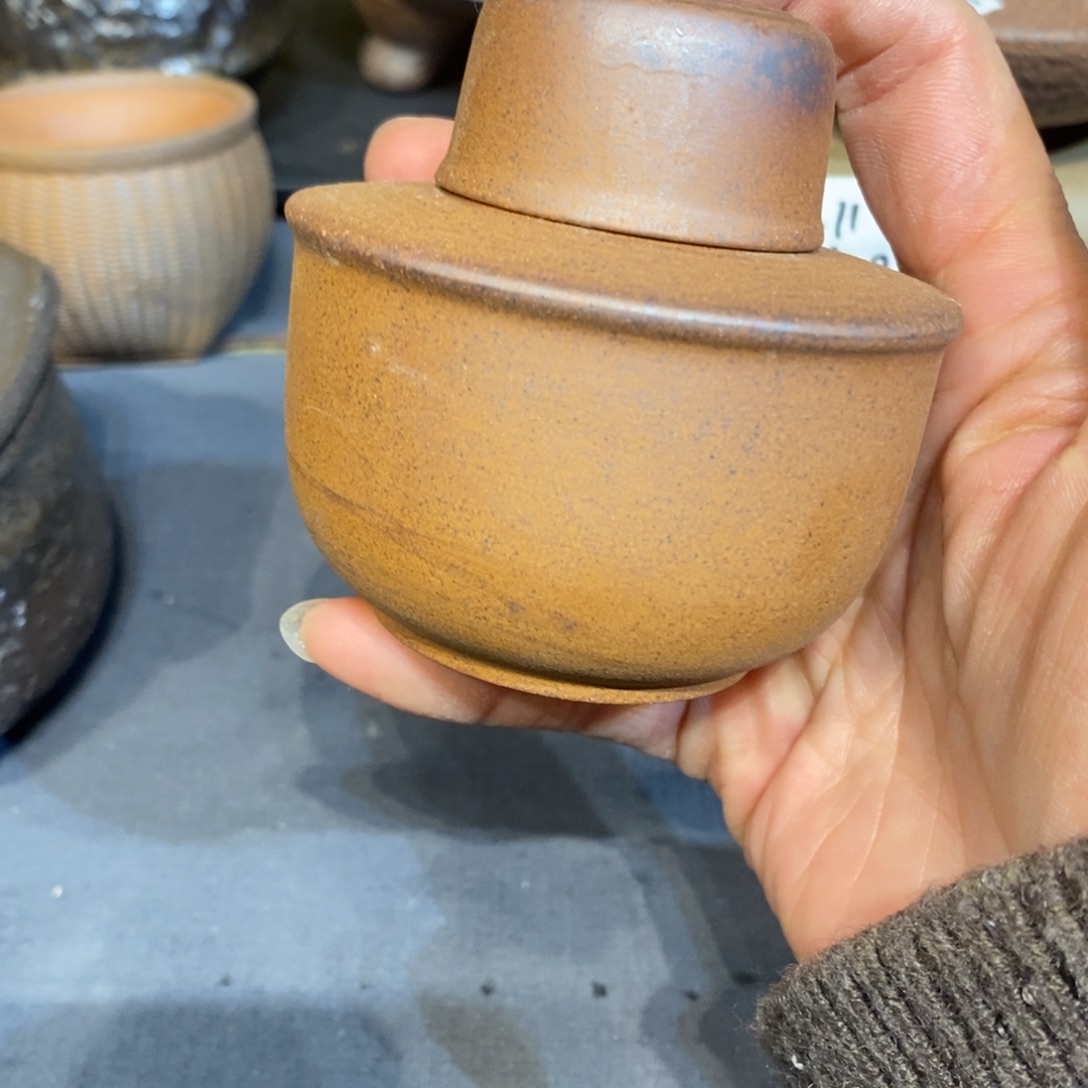 瓷片我是真的爱过你们要好好照顾自己