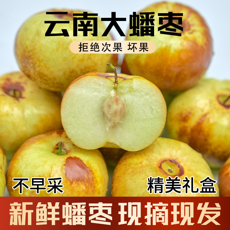 云南正宗高山蟠枣新鲜现摘现发皮薄肉厚当季脆甜多汁应季水果香甜