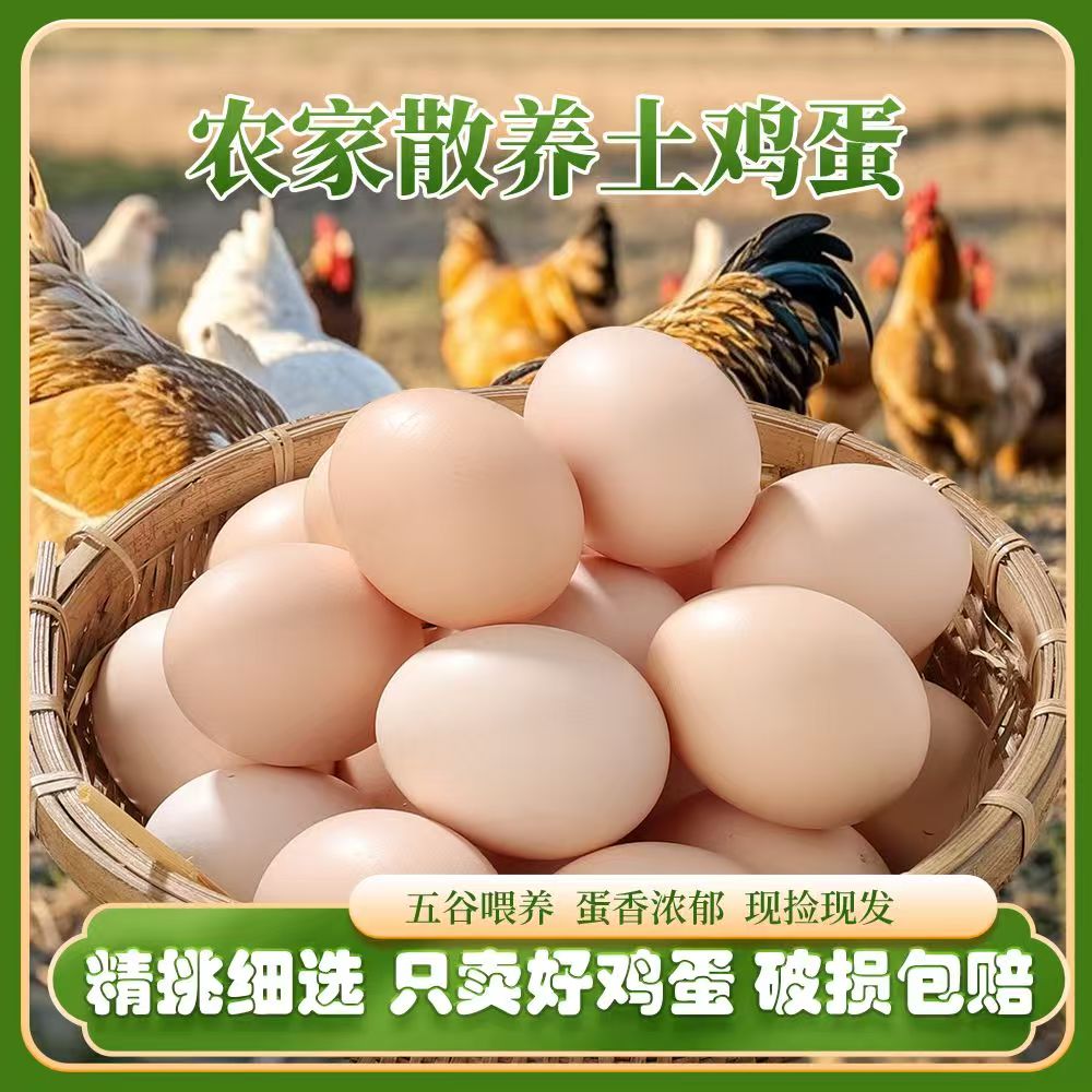 【只发好蛋】50枚新鲜土鸡蛋农家五谷喂养真笨鸡蛋现捡现发破损包赔