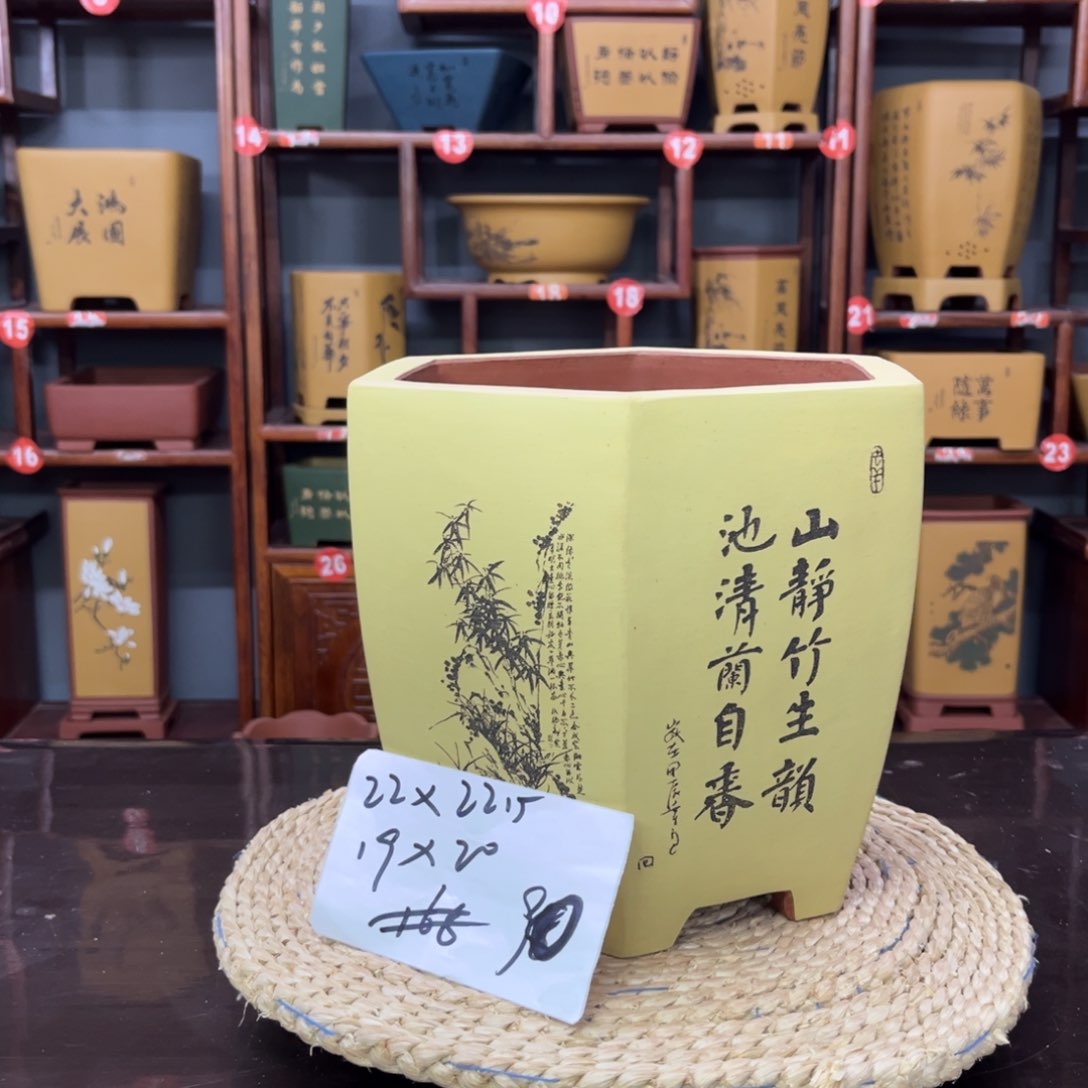 紫砂花盆紫砂花盆