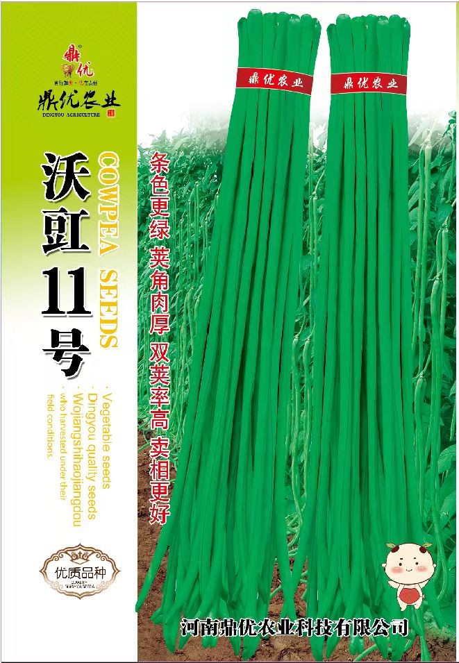 春秋两用类型，肉厚，荚条翠绿。200克规格