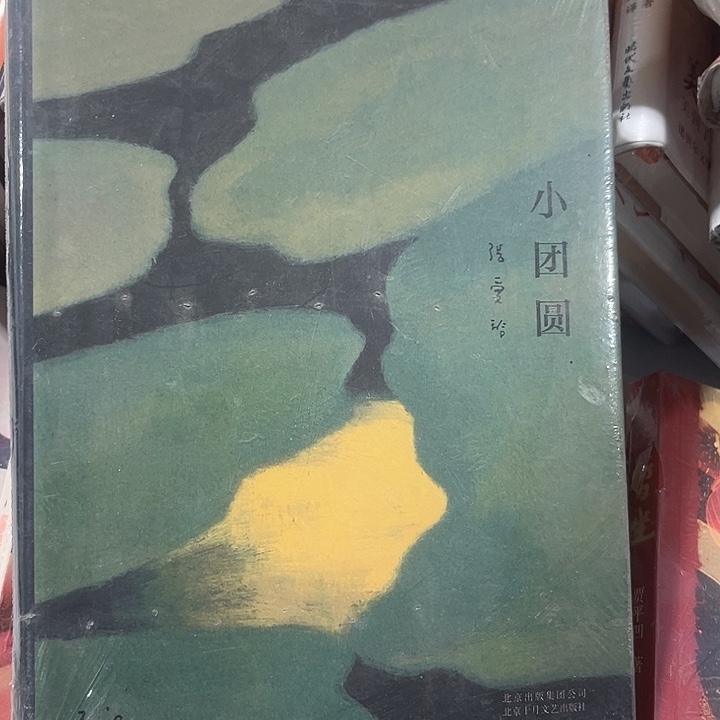 小团圆新书推荐全新