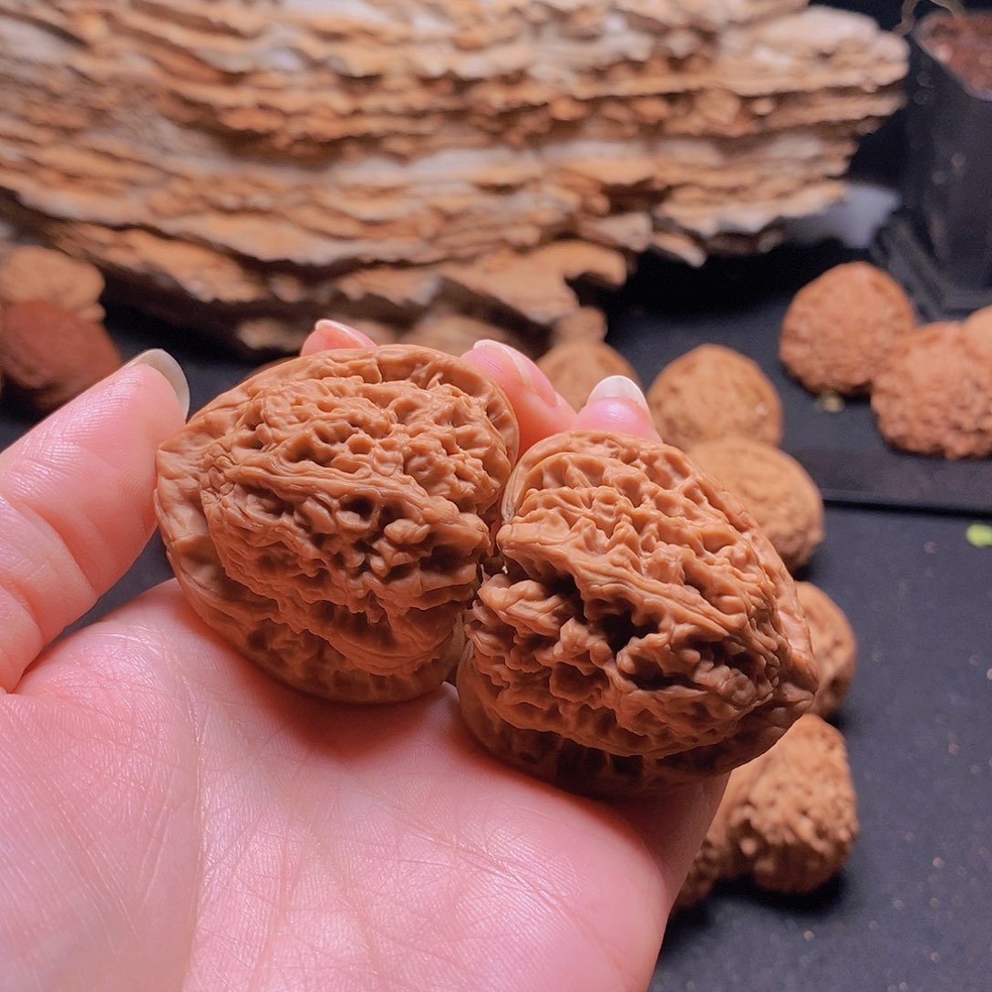 核桃手串/手链，*，43全品三角