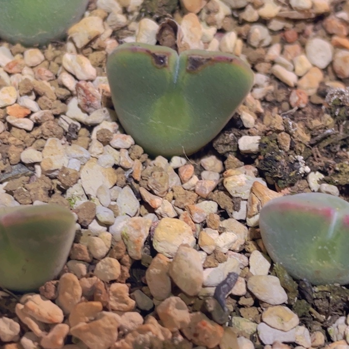 4888888888888888888888888