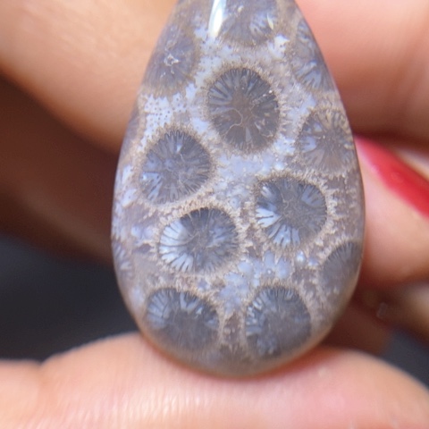 【闪购商品】硅化玉吊坠(不含链)未镶嵌