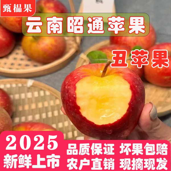 2025当季新鲜上市云南昭通2001丑苹果糖心苹果农户直销现摘现发