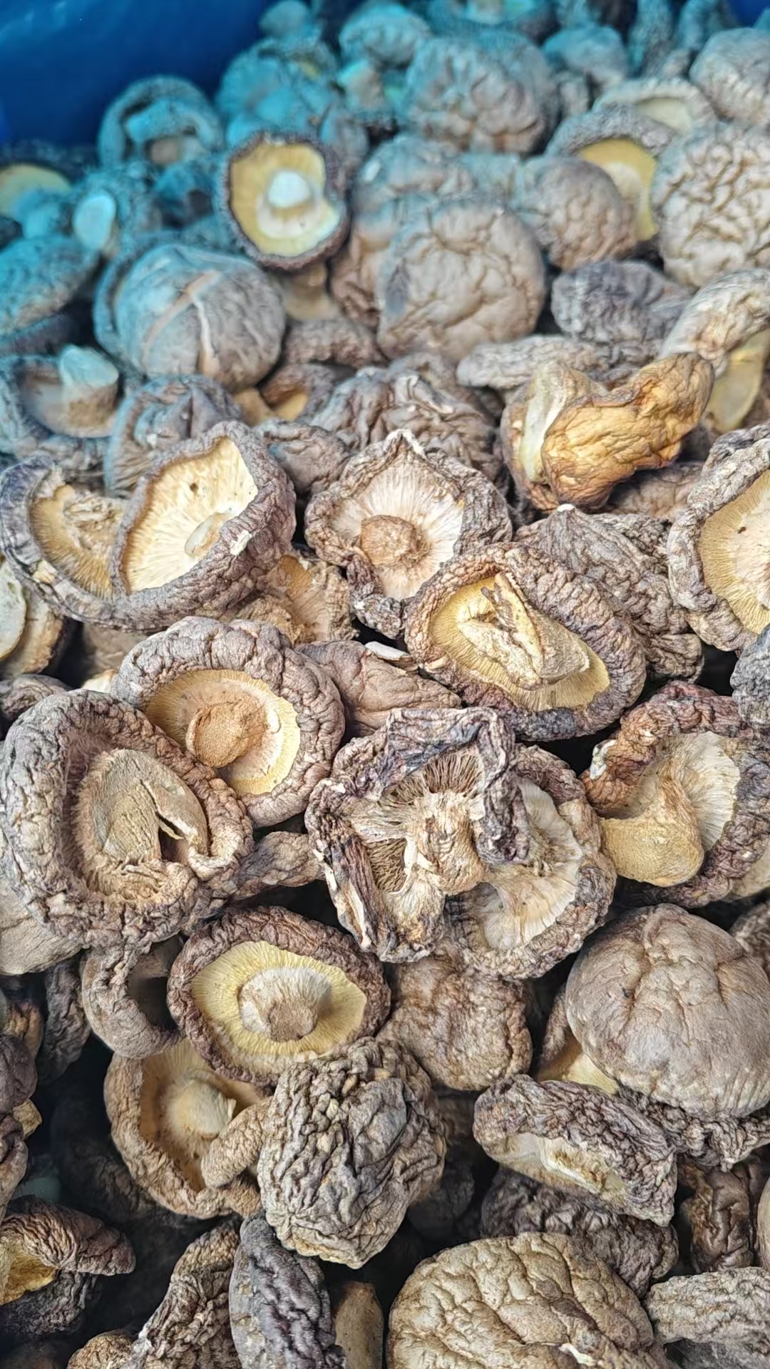 精品农家香菇250g