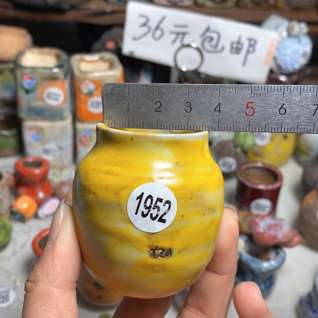 花盆拍5送一个小礼物