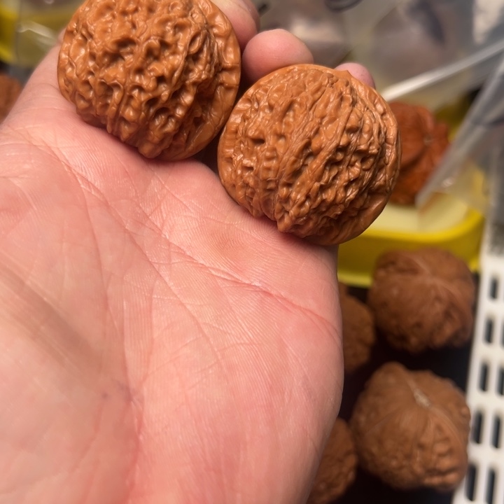 核桃b****d血麒麟，38.5已打底