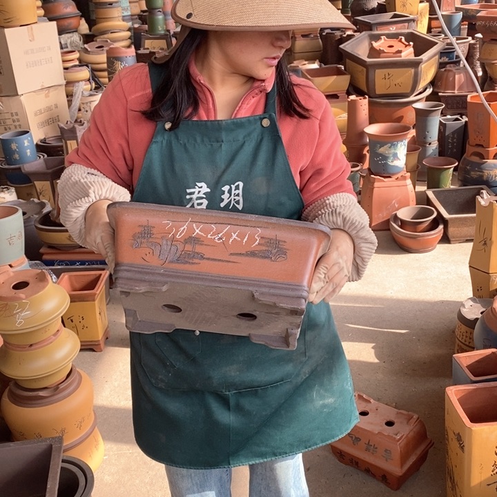 紫砂花盆盆栽花卉苗木种植