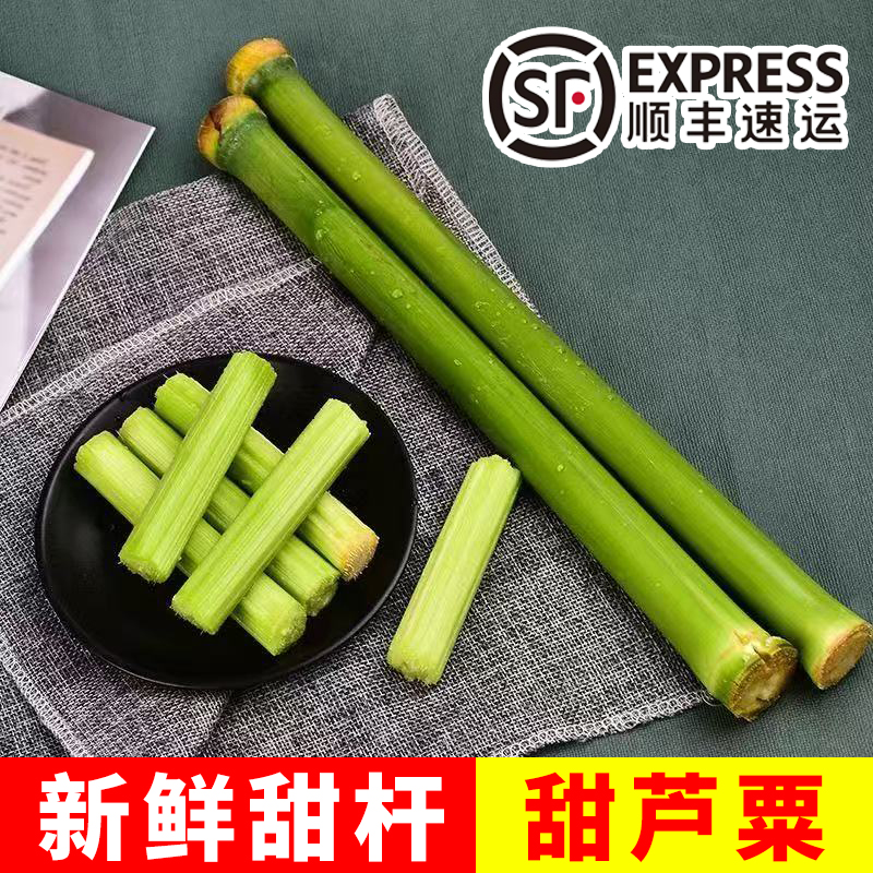 新鲜甜杆 甜芦粟 甜高粱到梢甜棒芦稷水子童年小时候的味道5.5斤