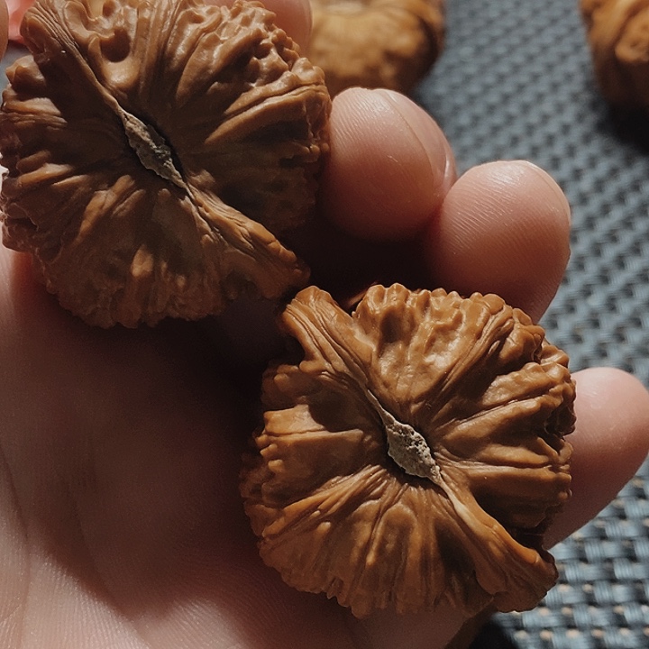 核桃手串/手链逆****文玩核桃白狮子