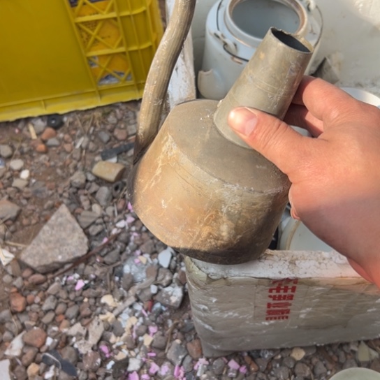 智***》杂色豆（科檀/科特迪瓦檀木）