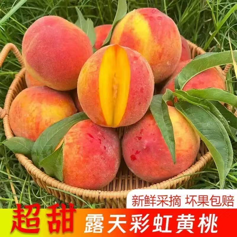 山东露天黄金蜜桃  红皮黄心毛桃 桃香十足 山东省