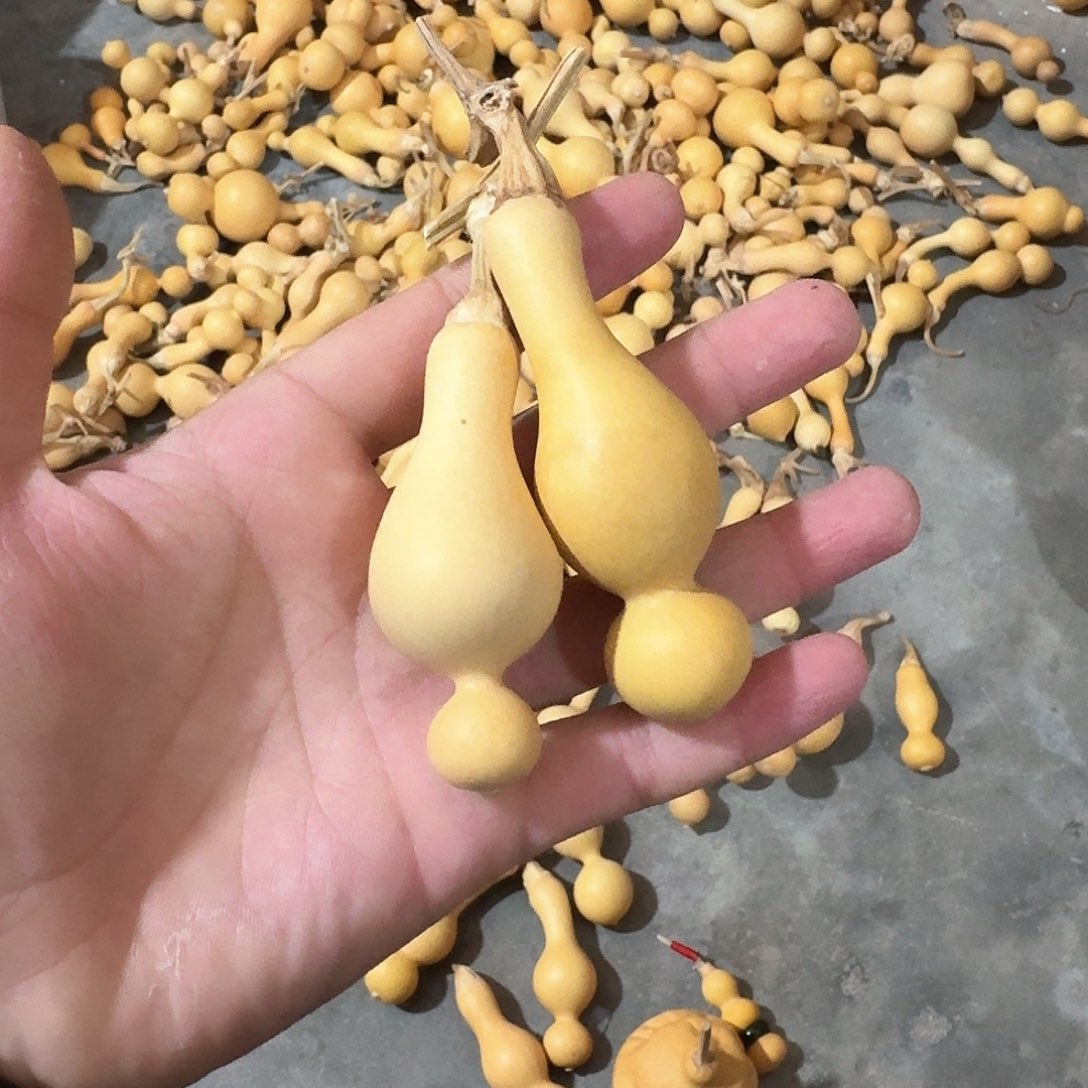 吉*22222222222222222222