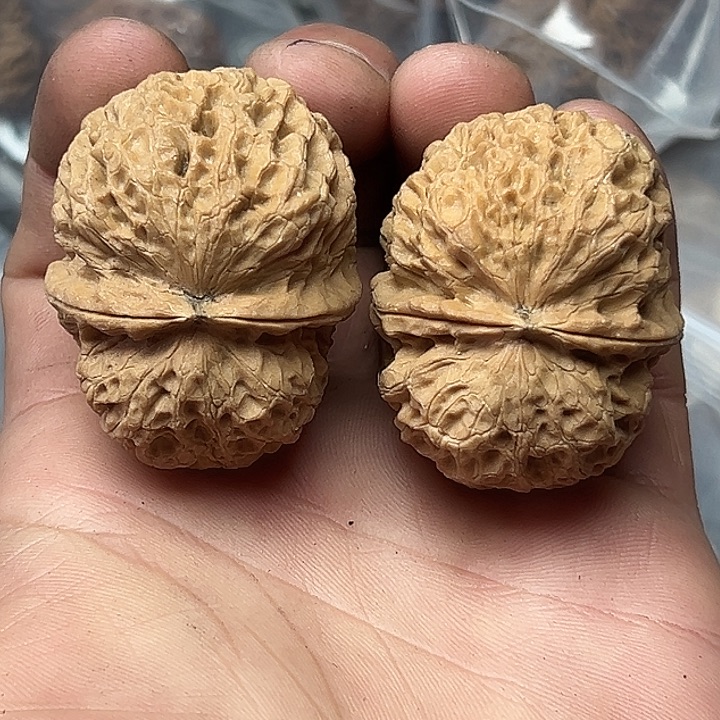 文玩核桃把件50号绣球元宝45尺