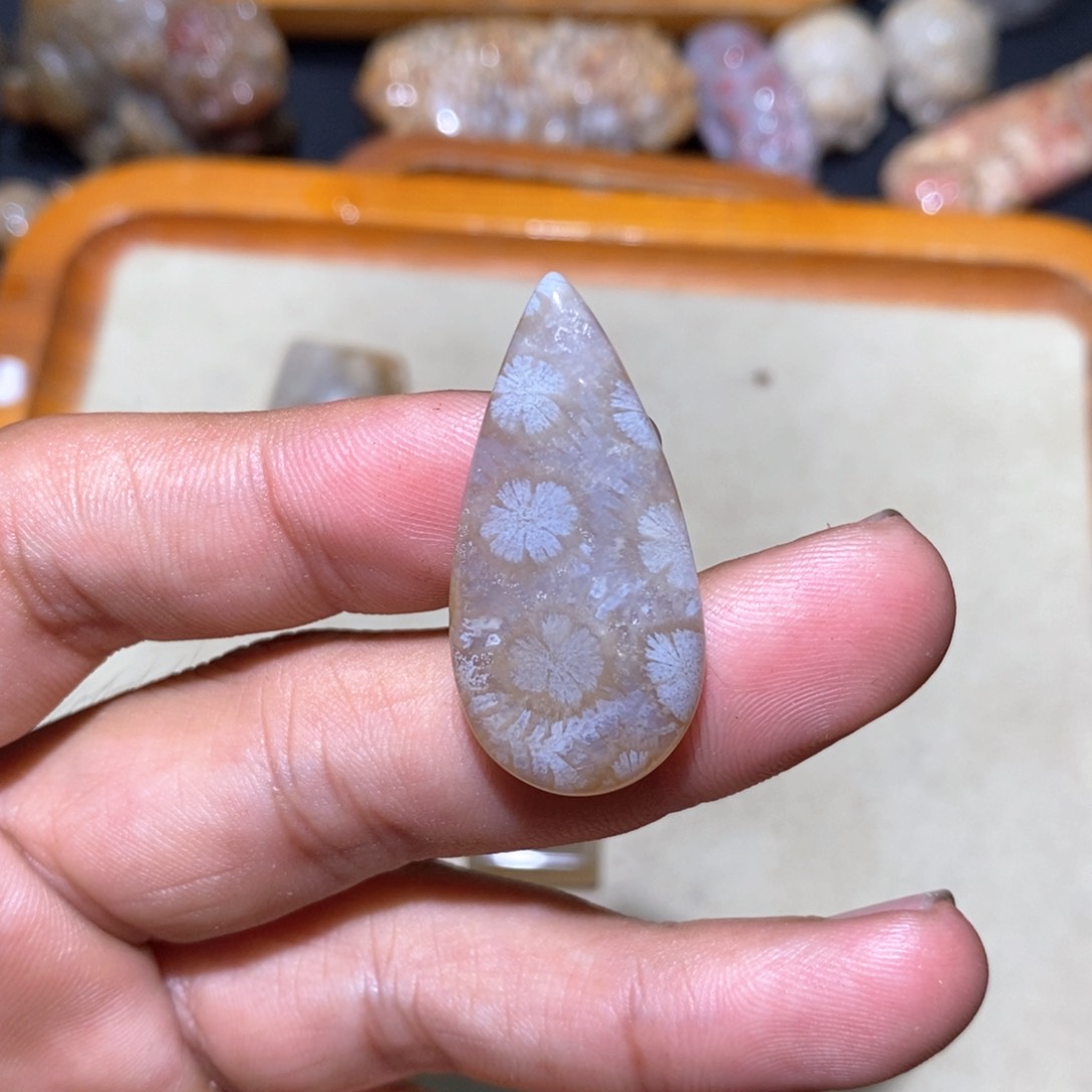 【闪购商品】硅化玉颈饰未镶嵌