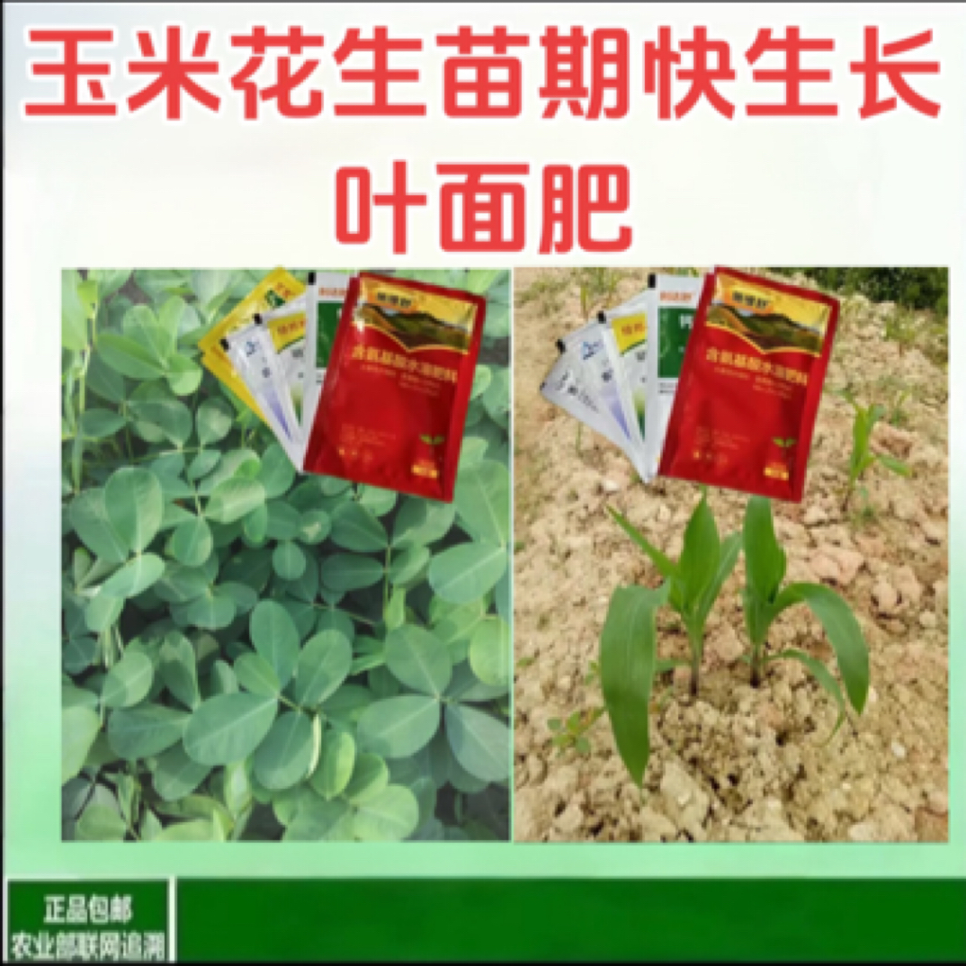 【加强版 玉米花生苗期小苗撵大苗】绿叶壮棵提苗营养增产叶面肥