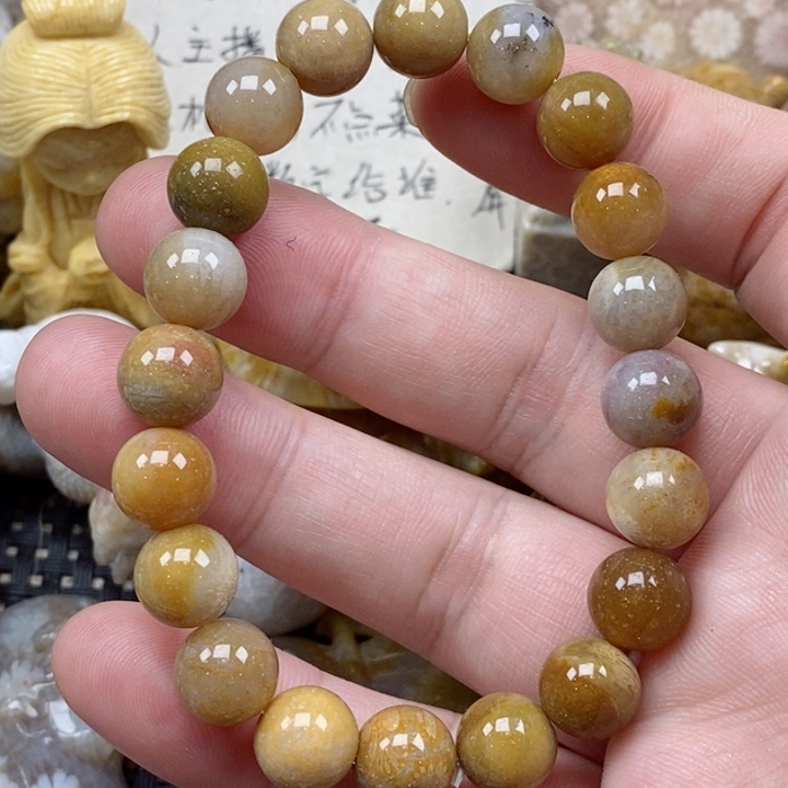 颈饰未镶嵌硅化珊瑚（珊瑚玉）