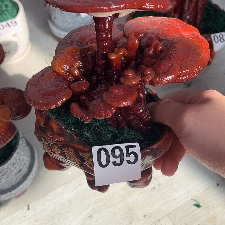 全部花朵88888888888888888