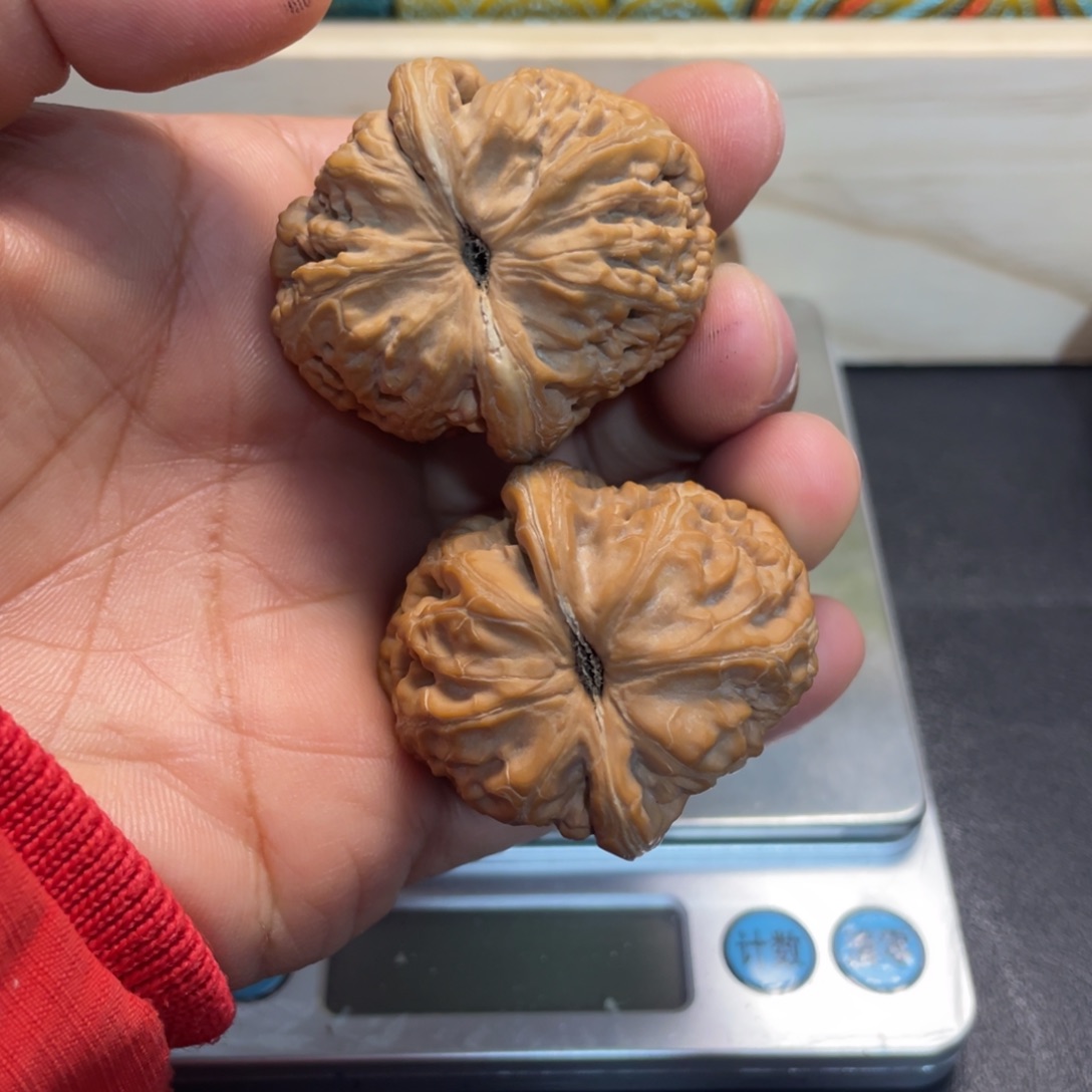 楊***大叶紫檀（黑酸枝木类）