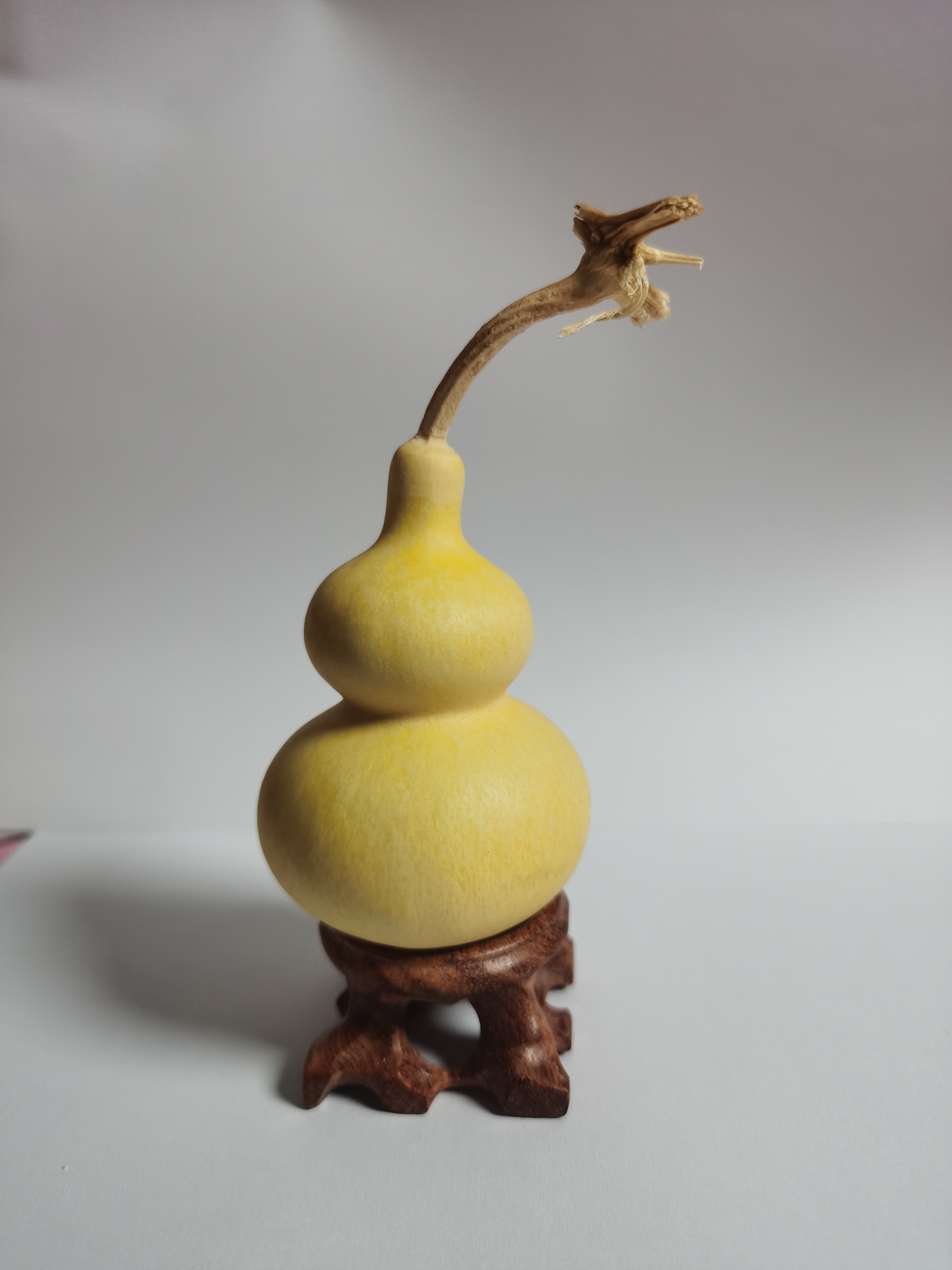 葫芦直播间专享链接,请勿随意下单