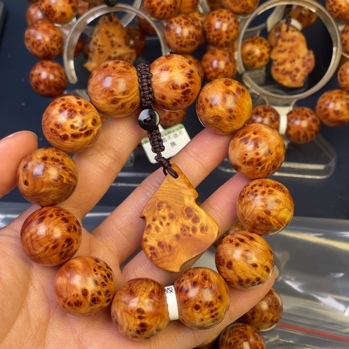 柏木（崖柏）其他海*12