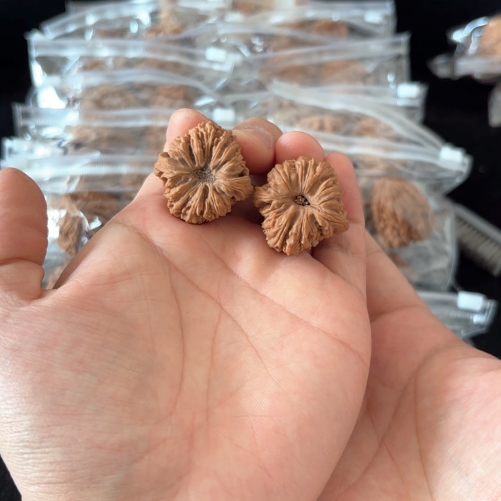 文玩核桃吊坠听***迅南将