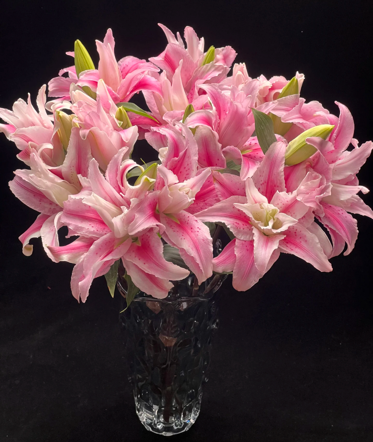 海星公主重瓣百合种球1颗盆栽地载