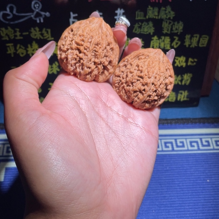 41满天星101 111111
