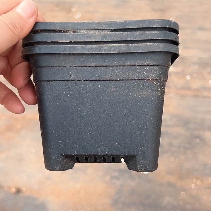 塑料口径11.5高度8.5黑方一组20个