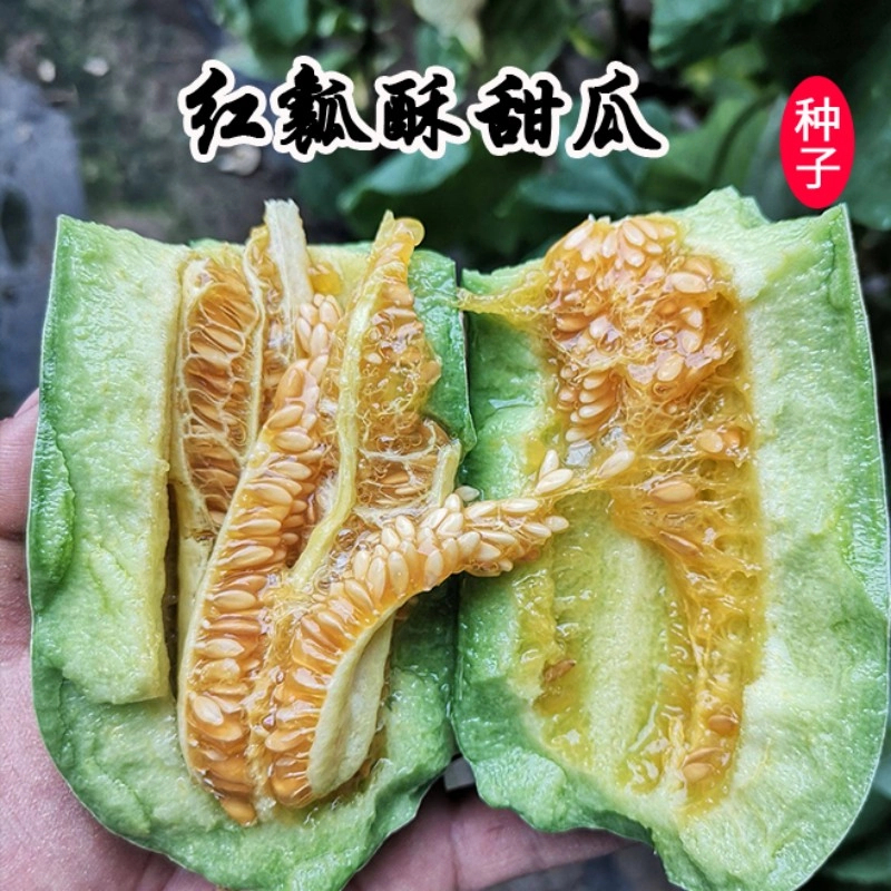 超甜红瓤酥瓜种子酥脆多汁阳台菜园盆栽香瓜籽大田水果种子种植